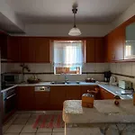 Olive Stone