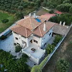 Villa Olive Stone *