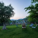 Olive Stone * Platanovrisi