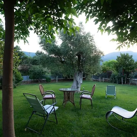 Villa Olive Stone Platanovrisi