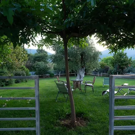 Villa Olive Stone Platanovrisi