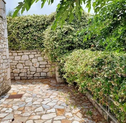 Olive Stone Platanovrisi