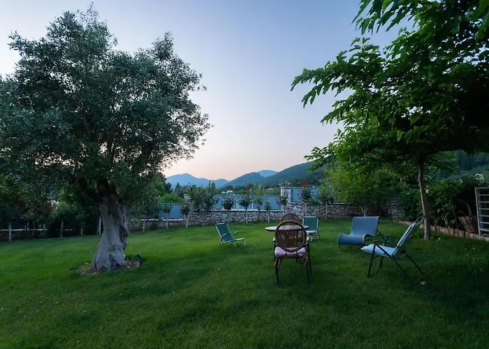 Olive Stone * Platanovrisi